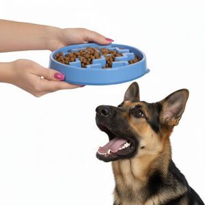 Outward Hound Slo Bowl LARGE Blue Slow Feeder Anti Bloat Dog German Shepherd